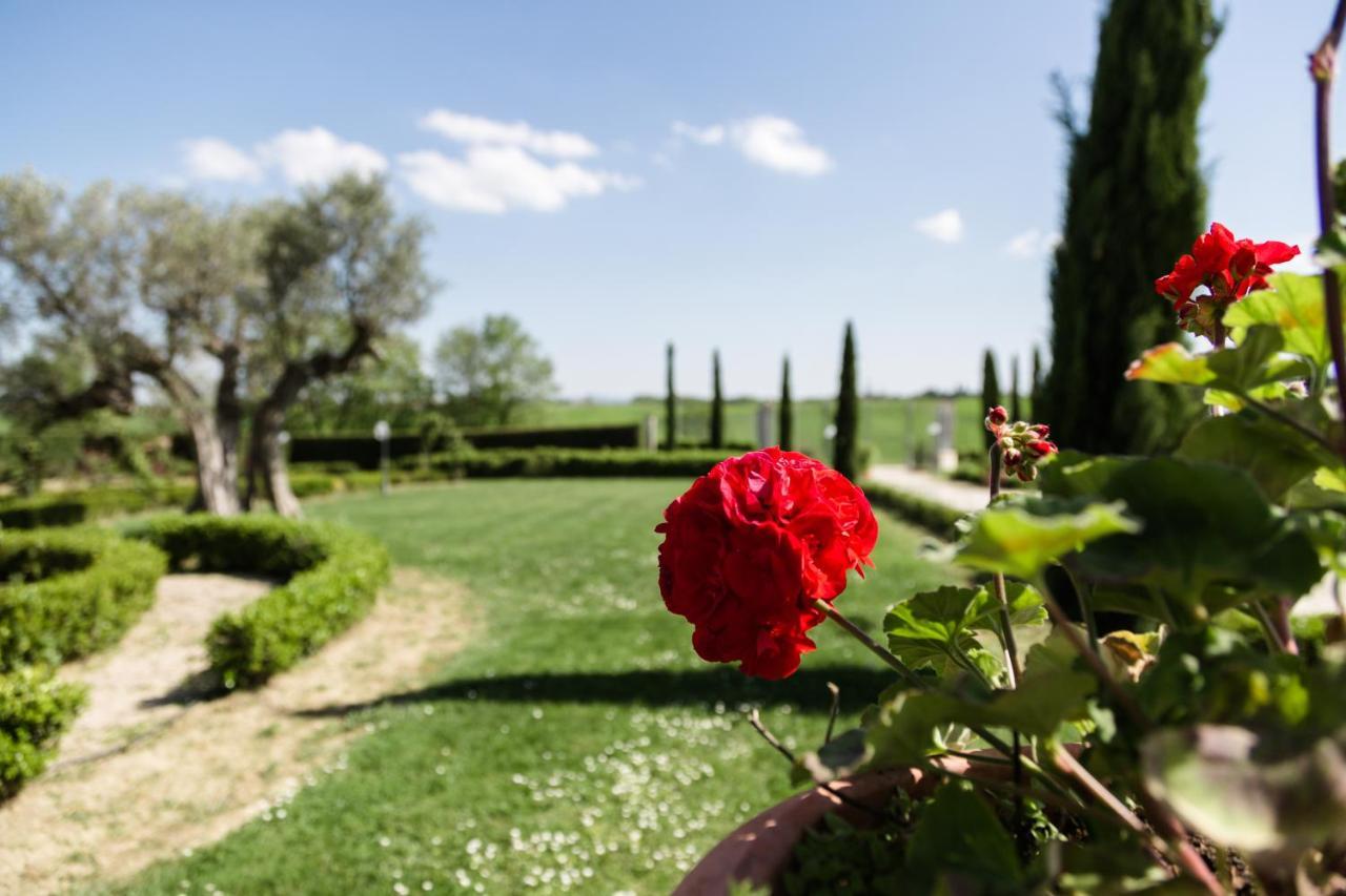 Podere San Giuseppe Castiglione del Lago Zewnętrze zdjęcie