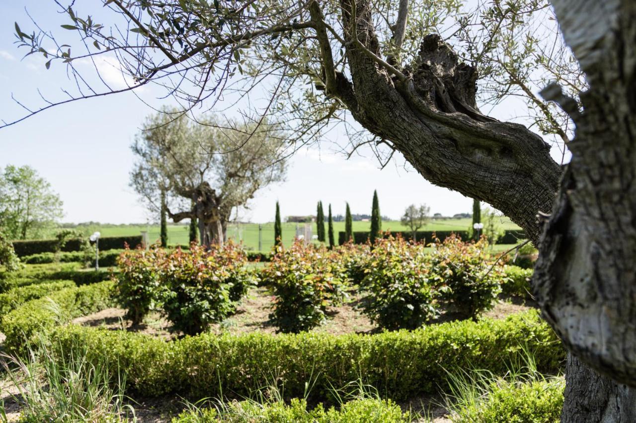 Podere San Giuseppe Castiglione del Lago Zewnętrze zdjęcie
